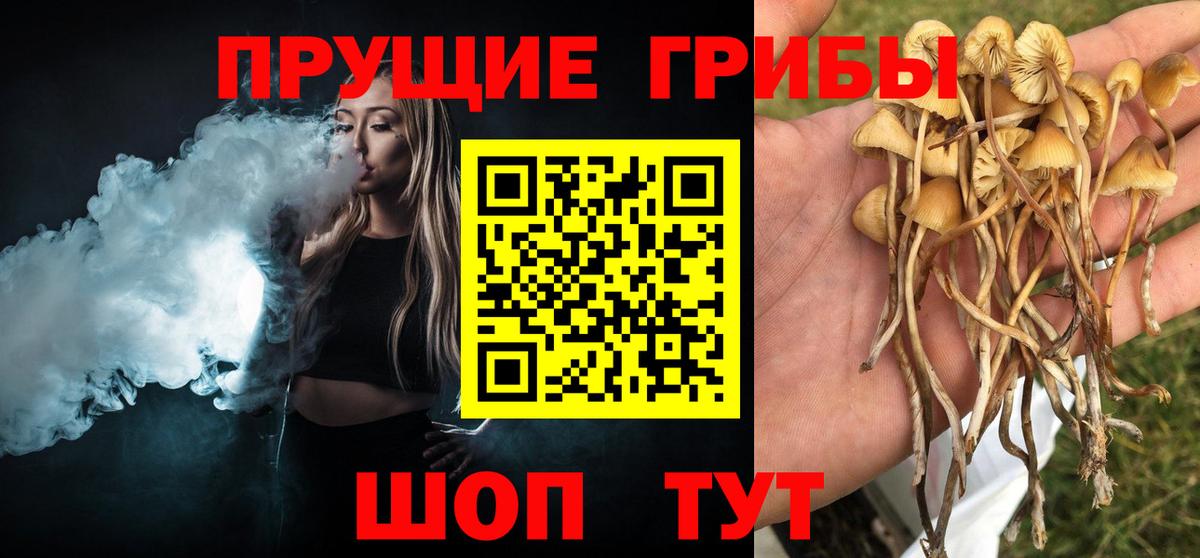 Галлюциногенные грибы мицелий  Вход с VPN  Добрянка  Псилоцибиновые грибы ЛСД 